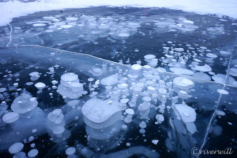 アイスバブルに幻の橋 北海道糠平湖で味わう神秘の連続 北海道 Lineトラベルjp 旅行ガイド