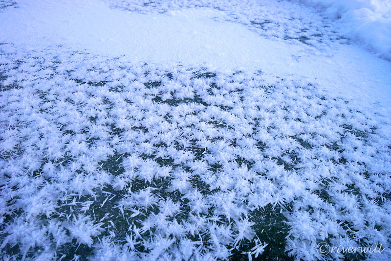 冬限定 奇跡の花フロストフラワーを見に北海道阿寒湖へ 北海道 Lineトラベルjp 旅行ガイド