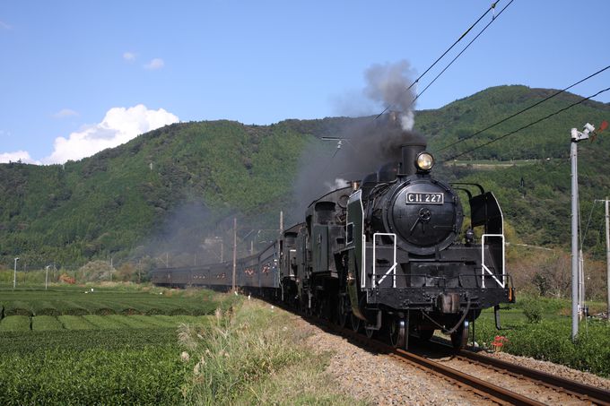 蒸気機関車の里といえばココ「大井川鐵道のSL」