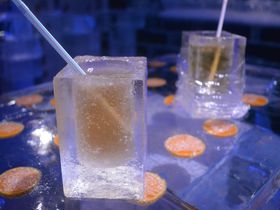ハウステンボスで美しすぎる氷のバー「フラワーアイスカフェ」を体感せよ！