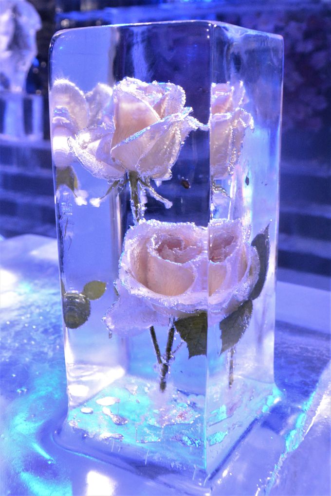 氷と花のコラボレーション