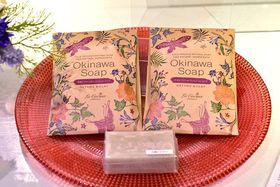 ����V�R�f�ނ̃p���[�Ïk�I�u�� �N�b�`�[�i�v�̃n���h���C�h�Ό��̋L���T���l�C��