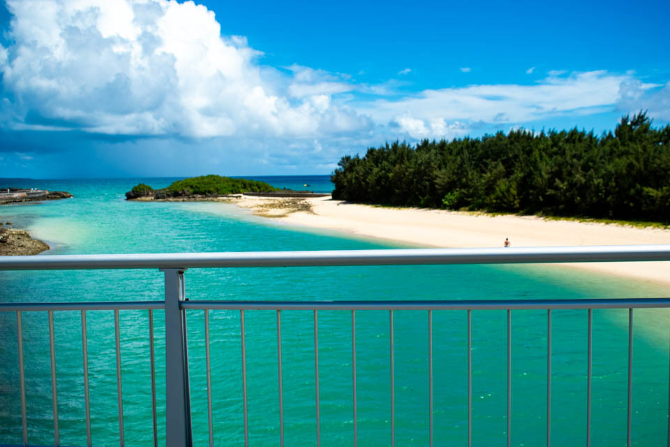 {ÓƈɗǕȂɗǕ勴̐i{Ãu[̊C\