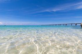 {Ï̖͖ځI{Ãu[̐iX|bg闷̋LTlC