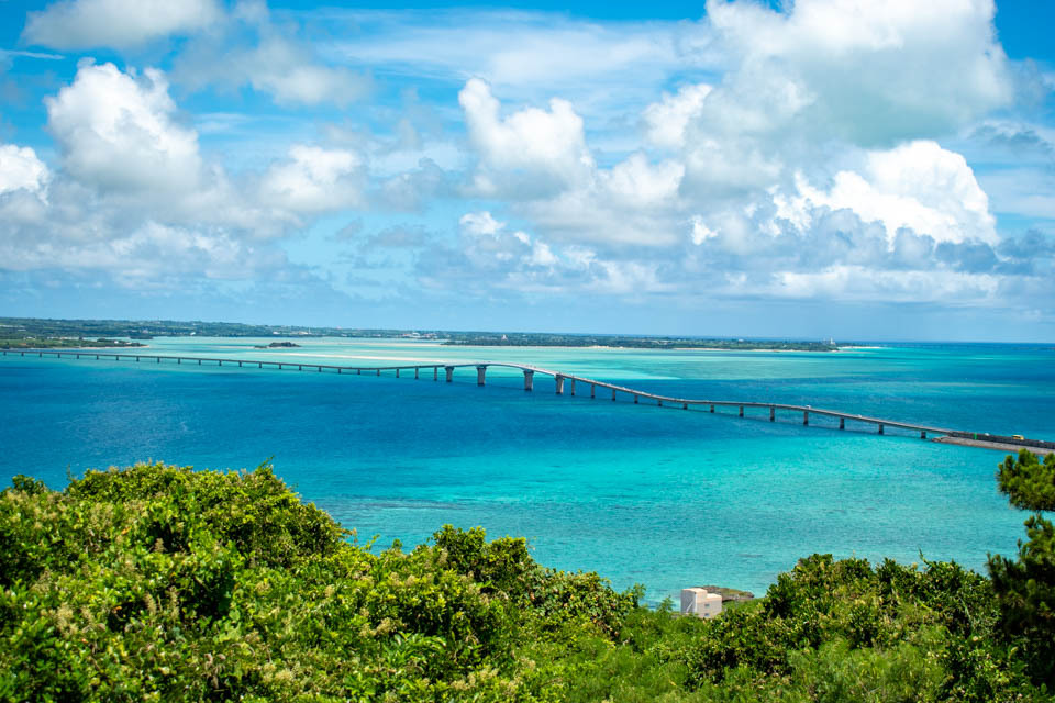 {ÓƈɗǕȂɗǕ勴̐i{Ãu[̊C\