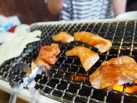 三重県・松阪で食べる焼肉は鶏肉!?コケコッコー共和国