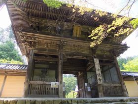 ����𒴂����Q���I�s�B���� �e�����f �̂����炬�ɉ����ĕ������s�E���Y�u�_�쎛�v�ւ̂����Ȃ��B�̋L���T���l�C��