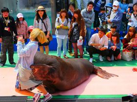 �g�������[���h�̐�����!?�ɐ��u�񌩃V�[�p���_�C�X�v�́A���Č��ĐG���Ċy���߂�I�̋L���T���l�C��