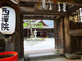 ����R�h�V�ɔ��܂�Ȃ�R�R�I�g���낪�f�G�h�ȁu���T�@�v�ցI�̋L���T���l�C��