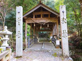 �}�f�B�\���S�̋������{��?!�ɗ\��F�u�����t�����v�߂��藷�̋L���T���l�C��