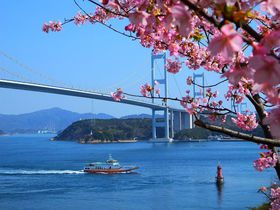 春色の風景と花の香りに包まれて〜しまなみ海道・春の花めぐり