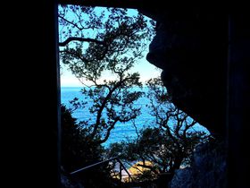 ČiumˁEsv̕šiFXSI̋LTlC