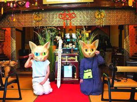 ネコ好き必見！長州・萩にある猫まみれの山寺「雲林寺」