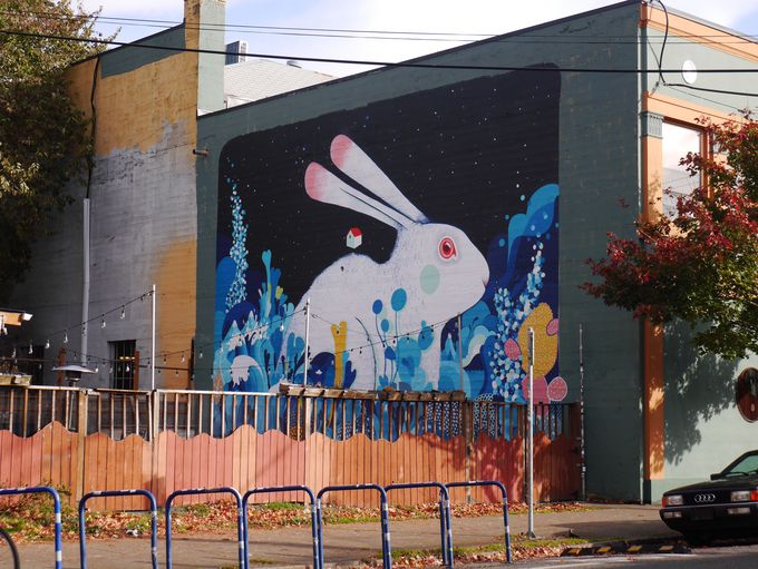 VѐSڂȃNG[eBussE|[gh