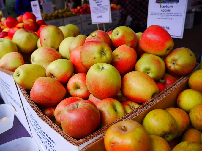 Y҂҂ցIVNňSȐHsɓ͂䏊