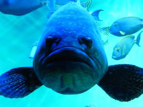 ő勉̃yMWIՊCʔ̋LTlC