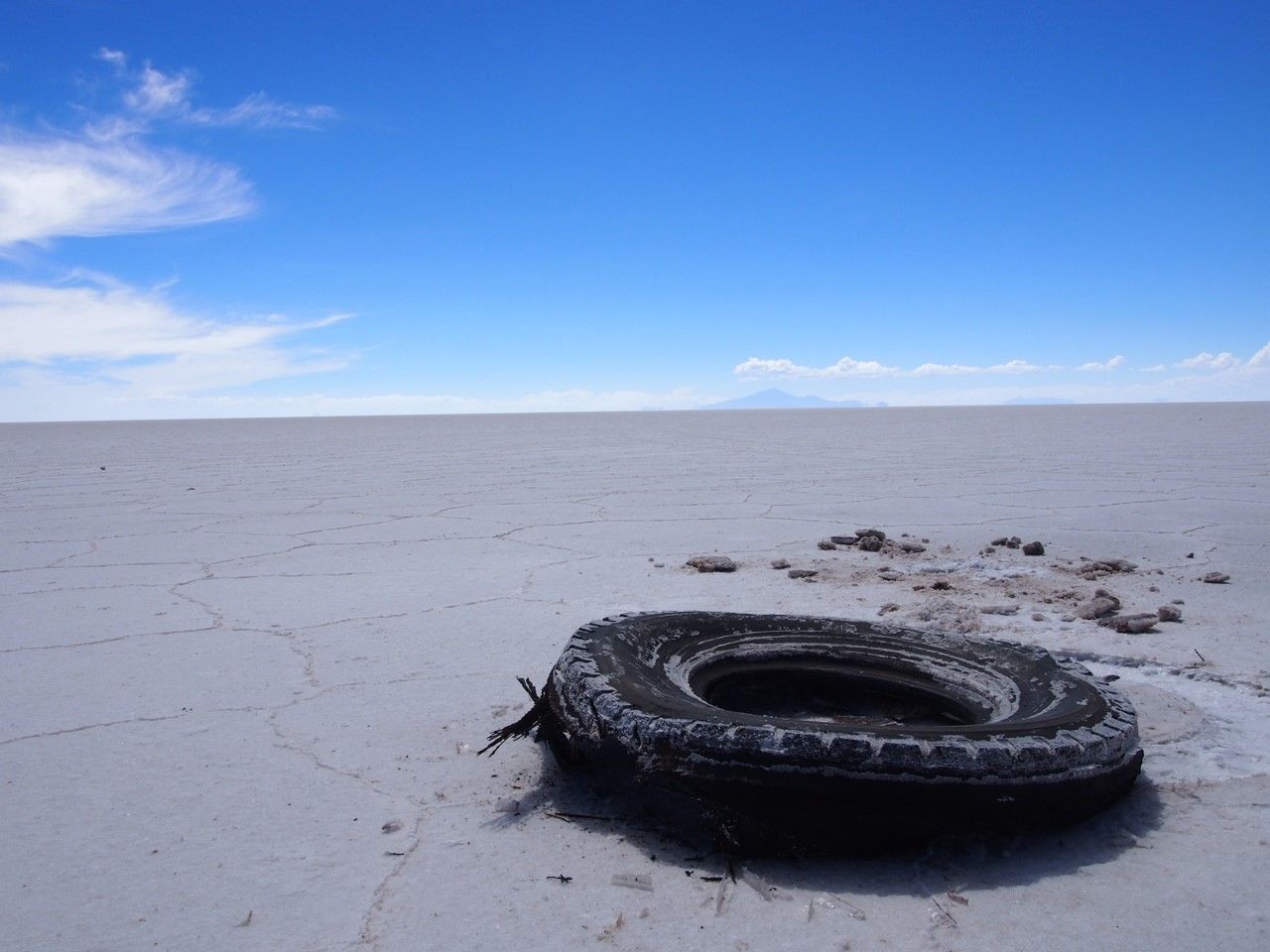 �J�G��������Ȃ��B���G�̃E���j���΂���i�I