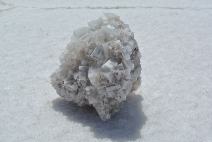 �E���j���΂ł̂��y�Y�͉��O�b�Y�Ō��܂�I