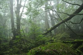 �ꕶ����������Ȃ��I��������<mark>���v��</mark>�̊O���Ȃ��X�|�b�g�T�I�̋L���T���l�C��