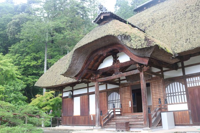 �ʏ�������ӂ̊ό��X�|�b�g�I��y��