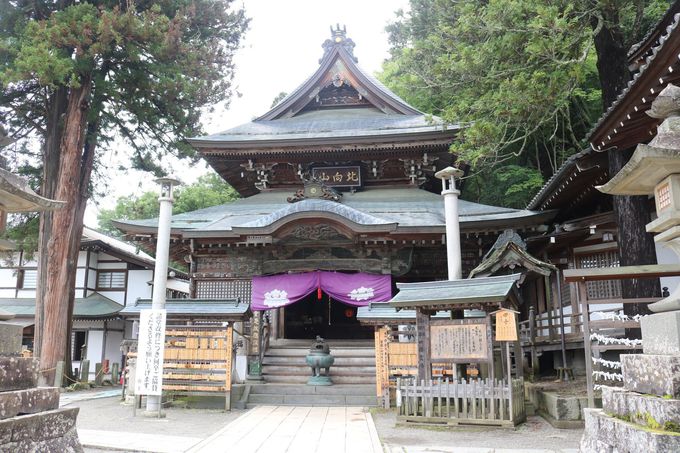 �ʏ�������ӂ̊ό��X�|�b�g�I�k���ω�