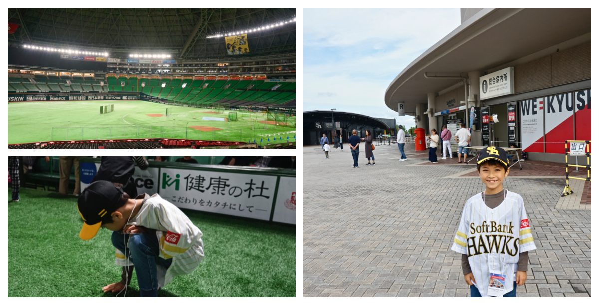 u tIN!h[ṽcA[Ńz[NX̑IC