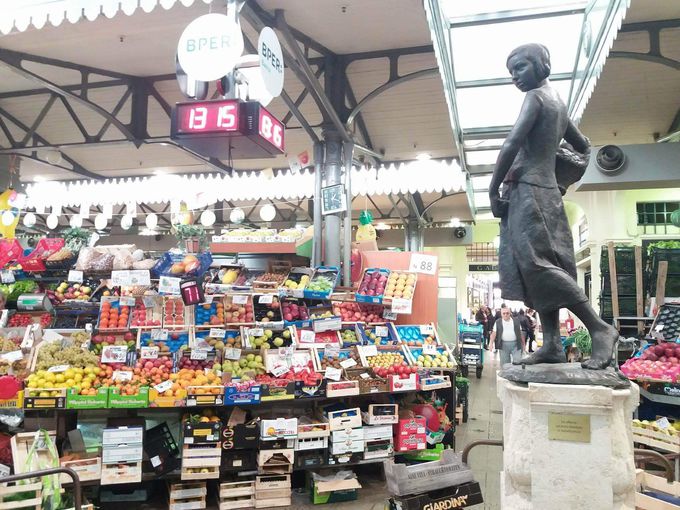 �ЂƂ���ڂ��䂭�A�A���r�l�b���s��̃V���{����