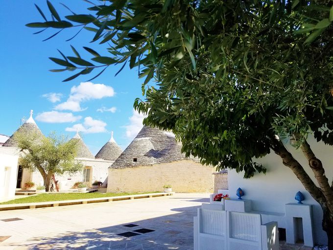 I[uɈ͂܂ꂽuDimora SumeranoṽgDb