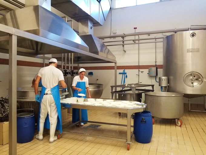 ペコリーノチーズは全40種類、全て職人による手作業