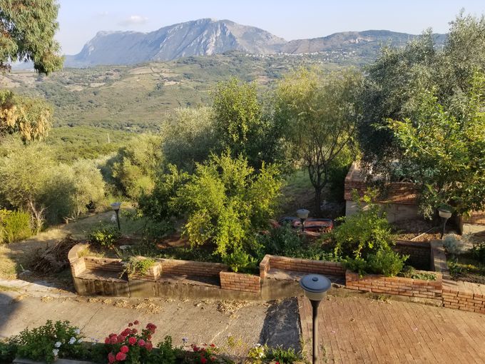 `g̑厩Rɖ銰̃AOc[Y