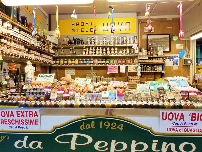 �L��8000�������[�g���̃g���I���t�@�[��