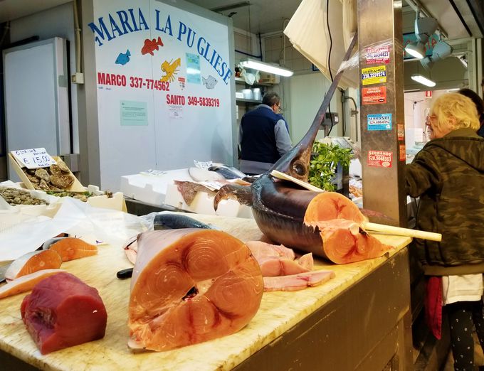 �L��8000�������[�g���̃g���I���t�@�[��