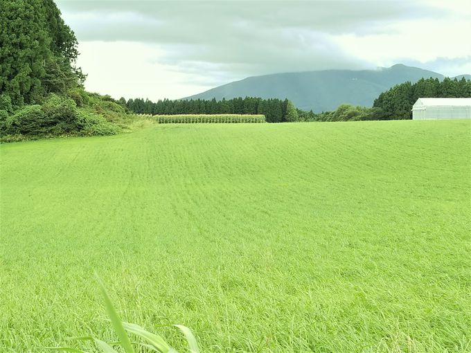 下北半島酪農の地「斗南丘」は会津藩ゆかりの地