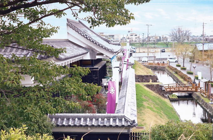 ��������������W�����ł́u�i�ق�����v�֘A�̃p�l���W����