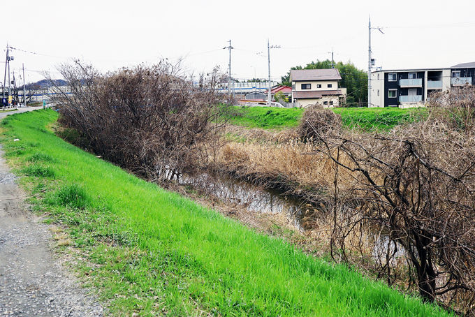 �R�荇��Ð��Ձi�V���R���ق�������j