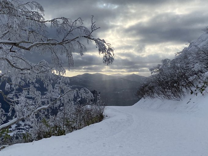 雪山の絶景！冬だけの景色「霧氷テラス」