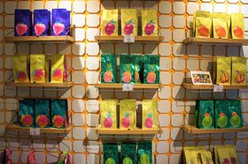 pGݍDW܂IkEiNXuDvp[AbvI[v̋LTlC