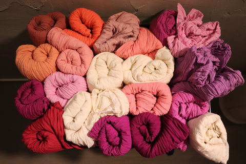 �u�a�F���搶�̓��풅�v��������I��k�u����l���v����X�ь����w