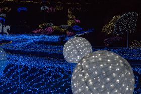 �ӏH�ł��g�t��������Ȃ��I�I���s�C���~�G�[���̋L���T���l�C��