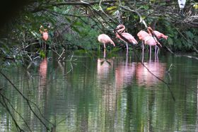 �쒹����������!?�n���ɂ������l�I�p�[�N�I�L�i���̖��͂Ƃ́H�̋L���T���l�C��