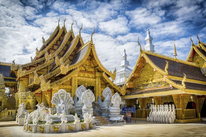 [i[Ɏ󂯌pꂽnv`CB̒nɑÂ