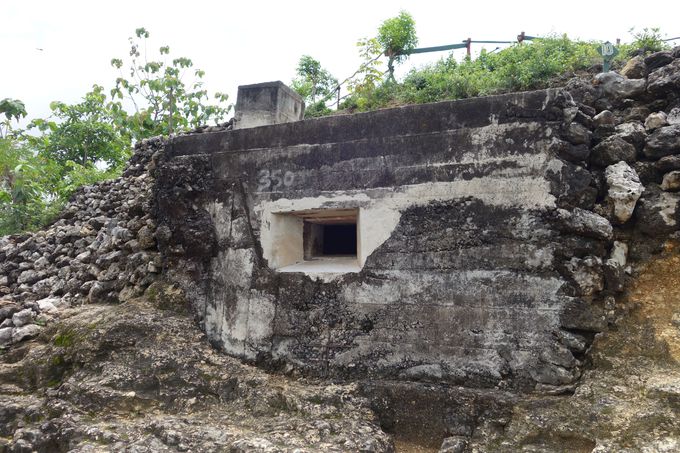 {R̓AՁuGOA JEPANGv݂Ă܂낤I