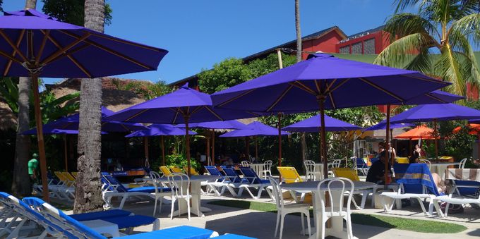 ���q�l�A��̓K�[�{�\�񂪂�������