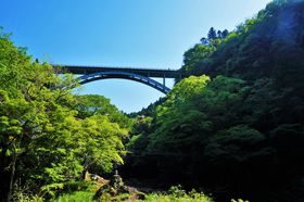 䋬ȂIJ̗V{SI̒IcAi̋űLTlC