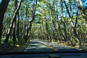 ꌧÂŏт̃glIc𖞋iIĎq̃CJYꂸɂ̋LTlC