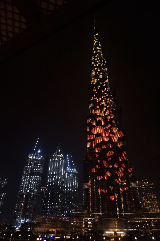 ���E�ꍂ���r���Ńv���W�F�N�V�����E�}�b�s���O�I