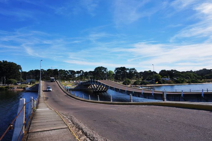 T[t@[A[eBXgɐlC̃r[`uEobv