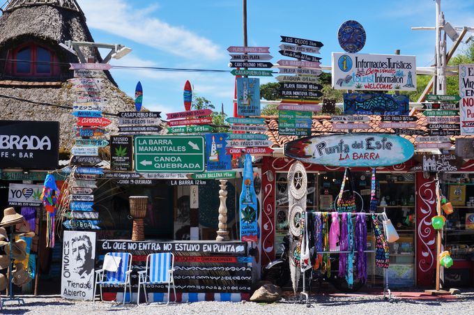 T[t@[A[eBXgɐlC̃r[`uEobv