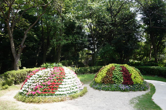 花や緑に囲まれた植物園！4エリアに分かれる園内