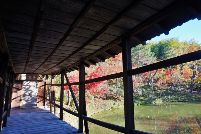印象的な日本庭園を楽しめる「高台寺」